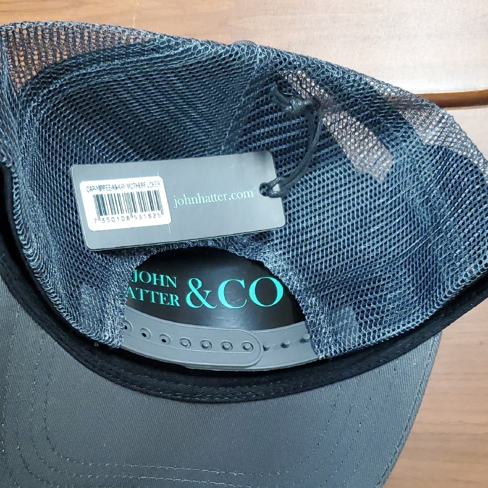 Gray Cap NWT - image 2